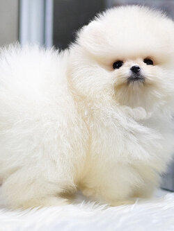 ย้ายบ้านแล้ว