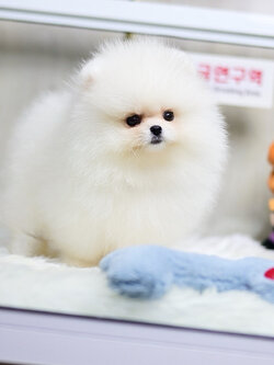 ย้ายบ้านแล้ว