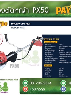 เครื่องตัดหญ้า 4 จังหวะ PAYOO รุ่น PX50