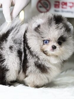 ย้ายบ้านแล้ว