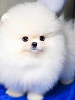 ย้ายบ้านแล้ว