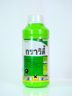 กราวิตี้