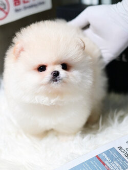 ย้ายบ้านแล้ว