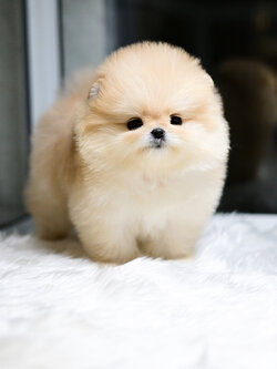 ย้ายบ้านแล้ว