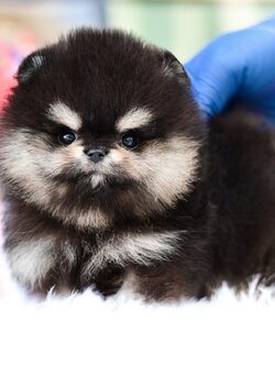 ย้ายบ้านแล้ว