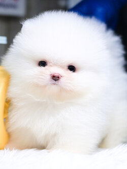 ย้ายบ้านแล้ว