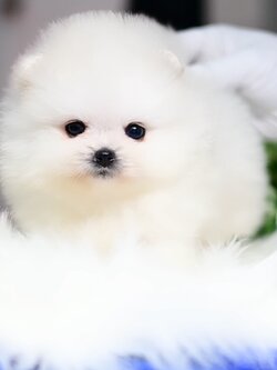 ย้ายบ้านแล้ว