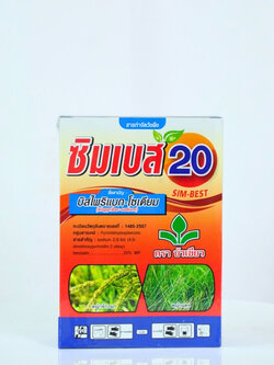 ซิมเบส20