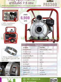 ปั๊มดูดโคลน อาร์โนลด์ รุ่นPAS300