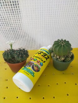 ปุ๋ยน้ำ HYPONEX (ขวดเหลือง) 800Ml. ปุ๋ยน้ำ ชีวภาพคุณภาพสูง ธาตุอาหารรอง บำรุงรากพืชให้แข็งแรง นำเข้าจากญี่ปุ่น ของแท้100%