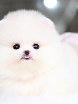 ย้ายบ้านแล้ว