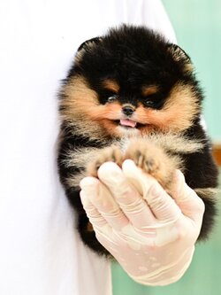 ย้ายบ้านแล้ว ผญ