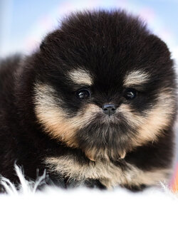 จองแล้วค่ะ (เตรียมเอกสาร บินไป USA.)