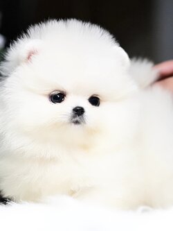 ย้ายบ้านแล้ว