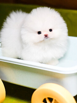 ย้ายบ้านแล้ว