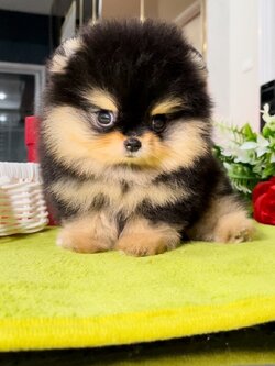 ย้ายบ้านแล้ว