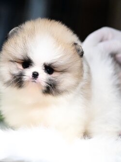 ย้ายบ้านแล้ว