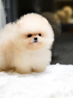 ย้ายบ้านแล้ว