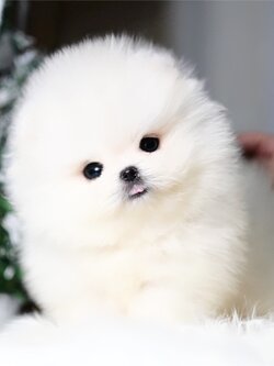 ย้ายบ้านแล้ว