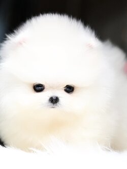 ย้ายบ้านแล้ว