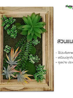 สวนแนวตั้ง กรอบไม้ ลายที่ 2