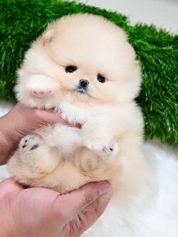 ย้ายบ้านแล้ว