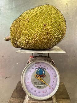 ขนุนสวน (เนื้อหนา) ( 7.5 กก.)