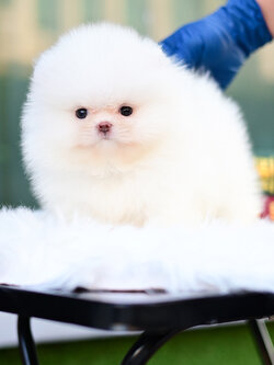 ย้ายบ้านแล้ว