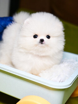 ย้ายบ้านแล้ว