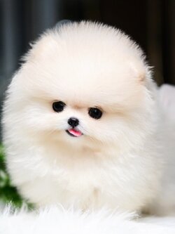 ย้ายบ้านแล้ว