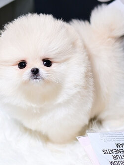 ย้ายบ้านแล้ว