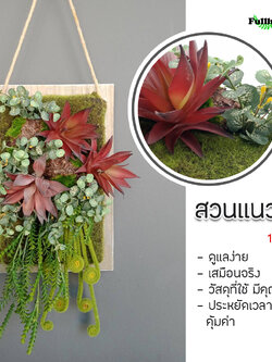 สวนแนวตั้ง แบบแขวน