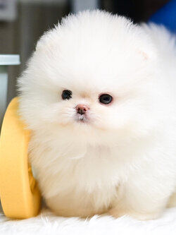 ย้ายบ้านแล้ว