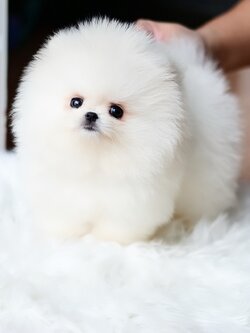 ย้ายบ้านแล้ว