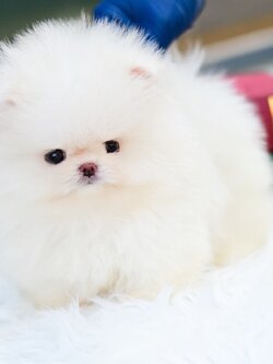 ย้ายบ้านแล้ว