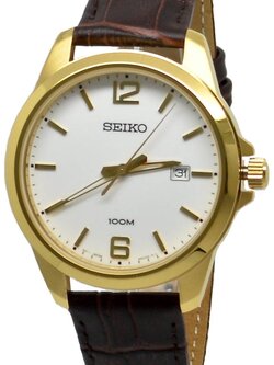 SEIKO MENS WATCH SUR252P1