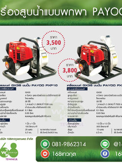 เครื่องสูบน้ำหูหิ้ว1นิ้ว พายุรุ่นPXP10