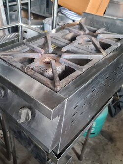 เตายุโรป 2 หัว ใช้แกีส