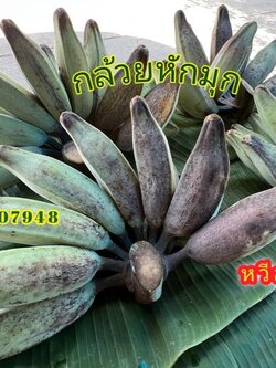 กล้วยหักมุก (กล้วยเเต่งงาน)