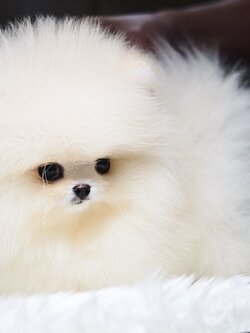 ย้ายบ้านแล้ว