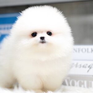 ย้ายบ้านแล้ว