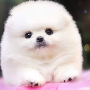 ย้ายบ้านแล้ว ผช