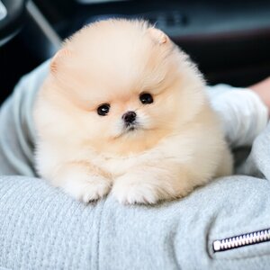 ย้ายบ้านแล้ว