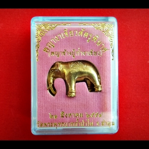 พญาช้างปุ้ก่ำงาเขียว ออกวัด วัดพระพุทธบาถ้ำป่าไผ่ เนื้อ ทองเหลืองนอกปัดเงา