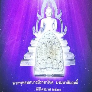 พระพุทธบารมีราชาโชค(พระพุทธเจ้า10ปาง) หลัง ดวงราชาโชค เนื้อผงมหาสัมฤทธิ์ ปี2560 - (พุทธคณหนุนเสริมดวงชะตา)