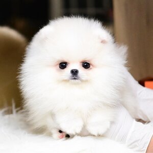 ย้ายบ้านแล้ว ผช