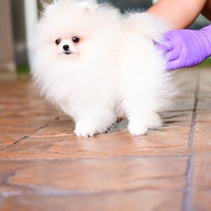 ย้ายบ้านแล้ว