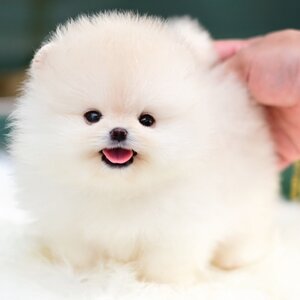 ย้ายบ้านแล้ว