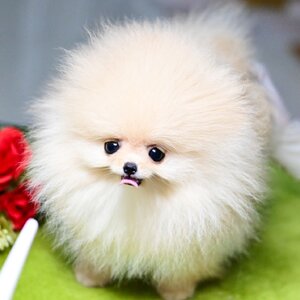 ย้ายบ้านแล้ว