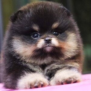 ย้ายบ้านแล้ว ผช